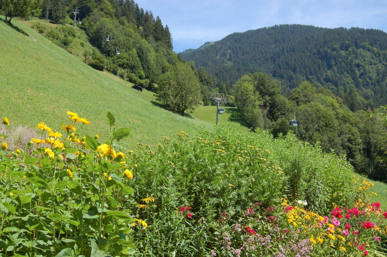 Appartements Karin Mitten Im Gruenen Schoppernau Kültér fotó